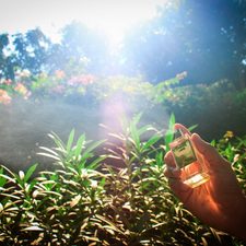 Panah London Chocolate Vanille 50ml EDP