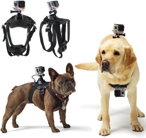 Adjustable Dog Harness Ches...