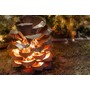Desert Steel Pine Cone Lumi...