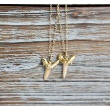 Shark Tooth Pendant Gold Filled Necklace - 16" Length
