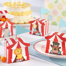 Circus Animal Favor Boxes