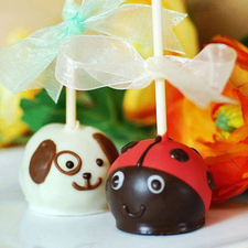 Puppy and Ladybug Brownie Pals