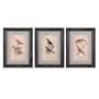 Woodland Bird Wall Dcor - Ast 3