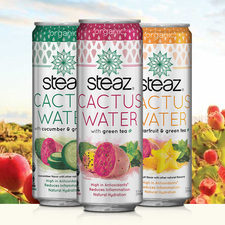 Steaz Cactus Water with Green Tea - Case of 12 - 12 oz.