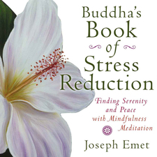Buddha's Book of Stress Reduction: Finding Serenity and Peace With Mindfulness Meditation