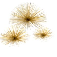 Sea Urchin Art – Pieces