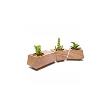 Revolution Design House Revolution Design House's handcrafted Boxcar planter in solid walnut wood.