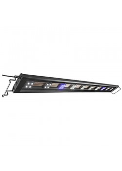 Elive Led Track Light, 10 Pod