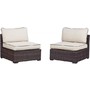 Renway 2pc Beige/Brown Outdoor Armless Chair Available Online in Dallas Fort Worth Texas