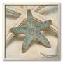 Art.com Coastal Gems III Fr...