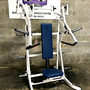 Hammer Strength Incline Che...