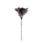 Ostrich Feather Duster