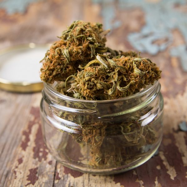 Hybrid OG Rockstar Kush