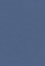Schumacher Fabric 2696 Bris...