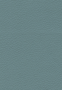 2697 Brisa Mineral 303 by S...