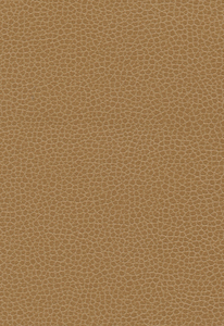 3142 Promessa Camel 363 by ...