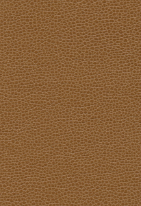 3145 Promessa Bronze 363 by...