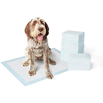 Amazon.com : AmazonBasics P...