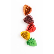 Milk Chocolate Leaves | Buy Handmade Chocolates Online | Edelweiss Chocolates