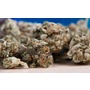 https://www.smoothtreats.com/wp-content/uploads/2016/11/smooth-treats-strawberry-cough.jpg