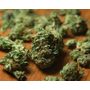 pineapple kush