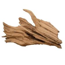 Mopano Wood Sculpture