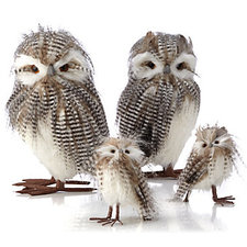 Striped Owl - Set of 2