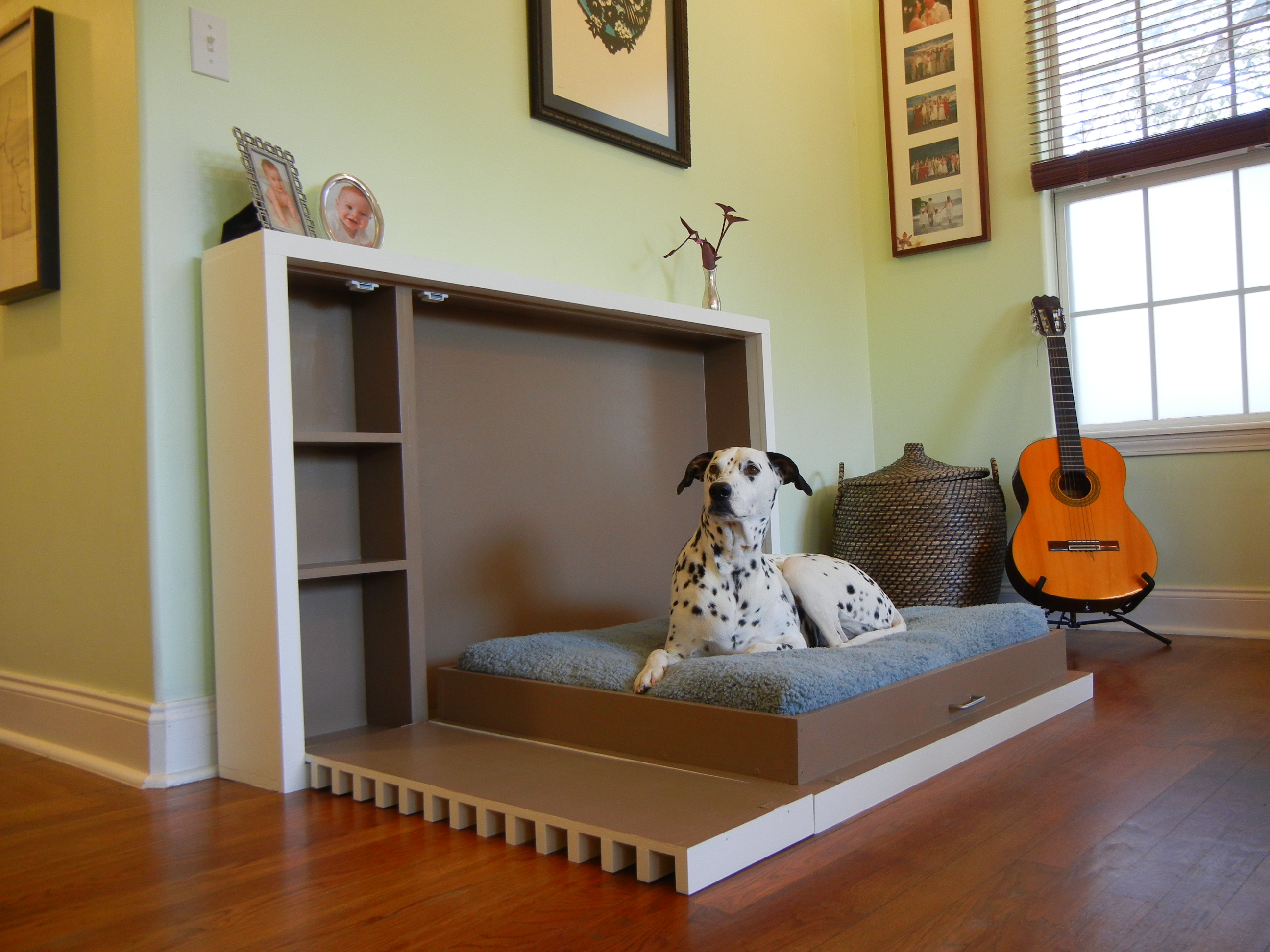 Pet Murphy Bed Open