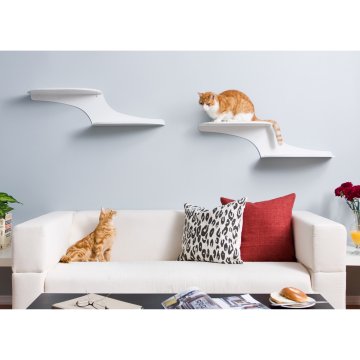 Refined Feline Cat Cloud Ca...