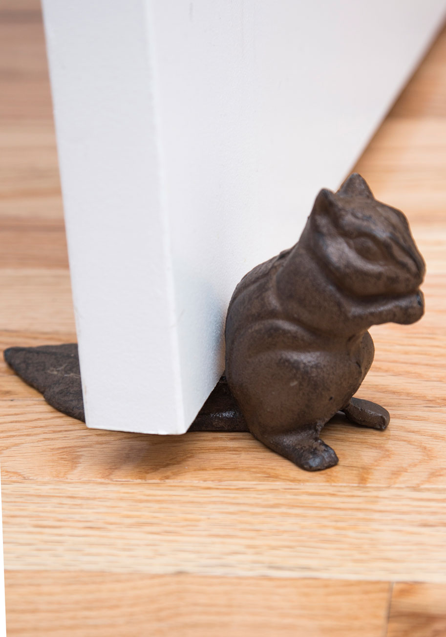 The Squirrel Next Door Stop...