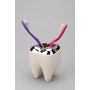 Tooth Toothbrush Holder