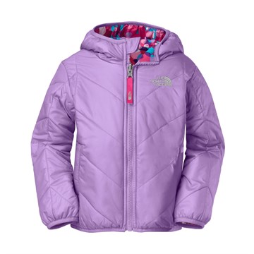 Peri Purple-D9R