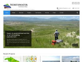 northwaterconsulting.com