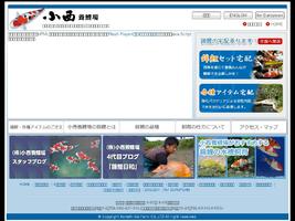 www.nishikigoi.co.jp